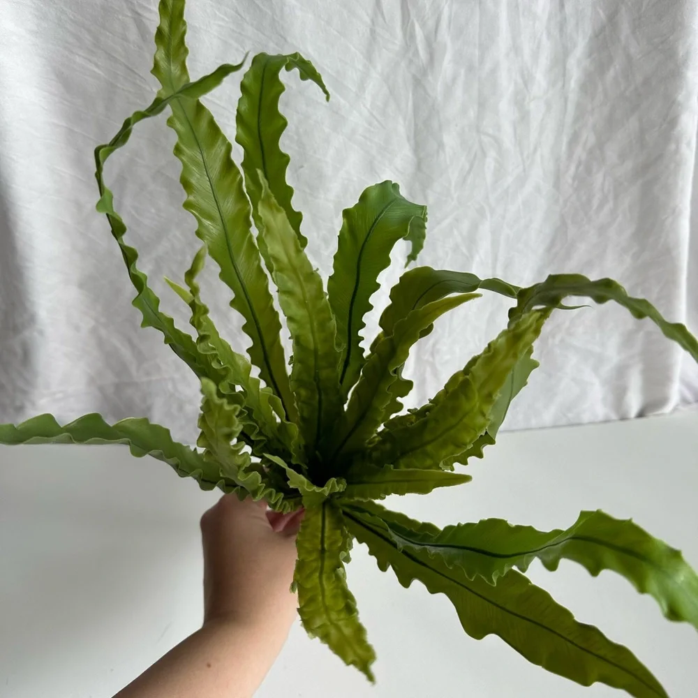 NWT Ashland Green Leaf Stem